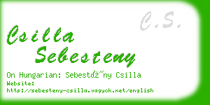 csilla sebesteny business card